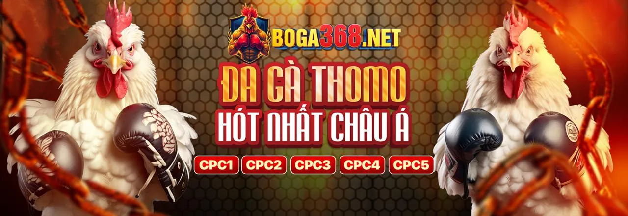 Sự Kiện Đặc Biệt và Giải Đấu 45678website
